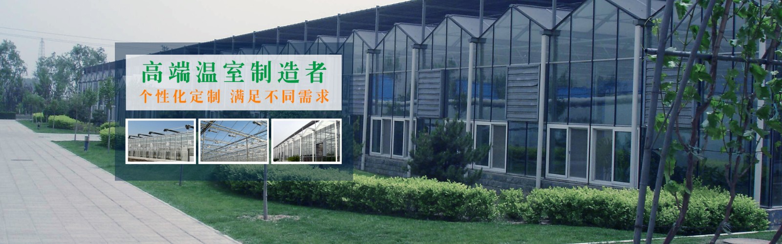 华体会官网hth