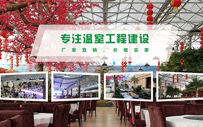 hth华体会网页