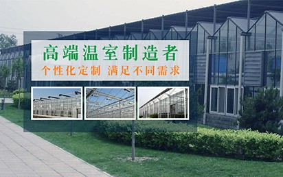 华体会官网hth