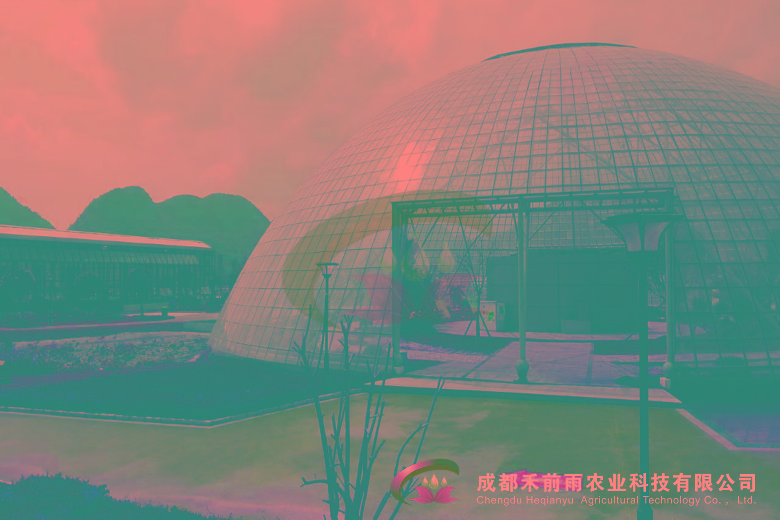 华体会官网hth