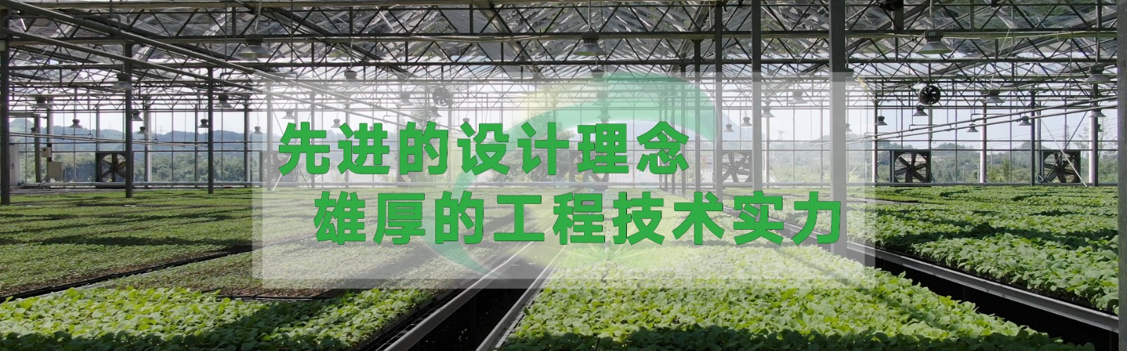 hth下载